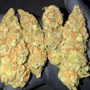 French Cookies